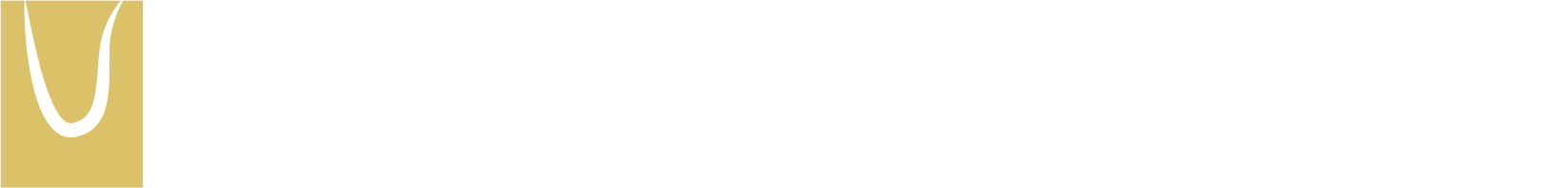 Dutch Retail Business